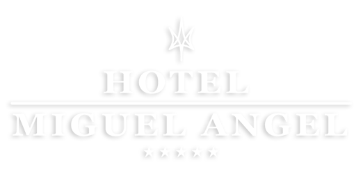 Hotel Miguel Angel